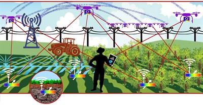 From profitability to trust: factors shaping digital agriculture adoption